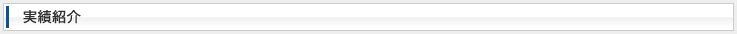 実績紹介